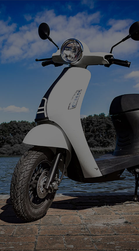 Ugbest Electric Scooter